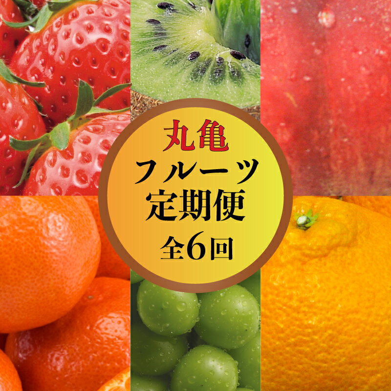 果物を贅沢に味わう 丸亀のフルーツ定期便 全6回 キウイ いちご 不知火 桃 シャインマスカット みかん さぬきひめ さぬき紅みかん 香緑 香川県 丸亀市