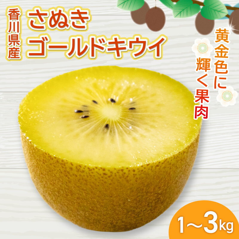 さぬきゴールドキウイ 選べる 約1kg ~ 約3kg 先行予約 キウイ 果物 フルーツ 香川県 丸亀市