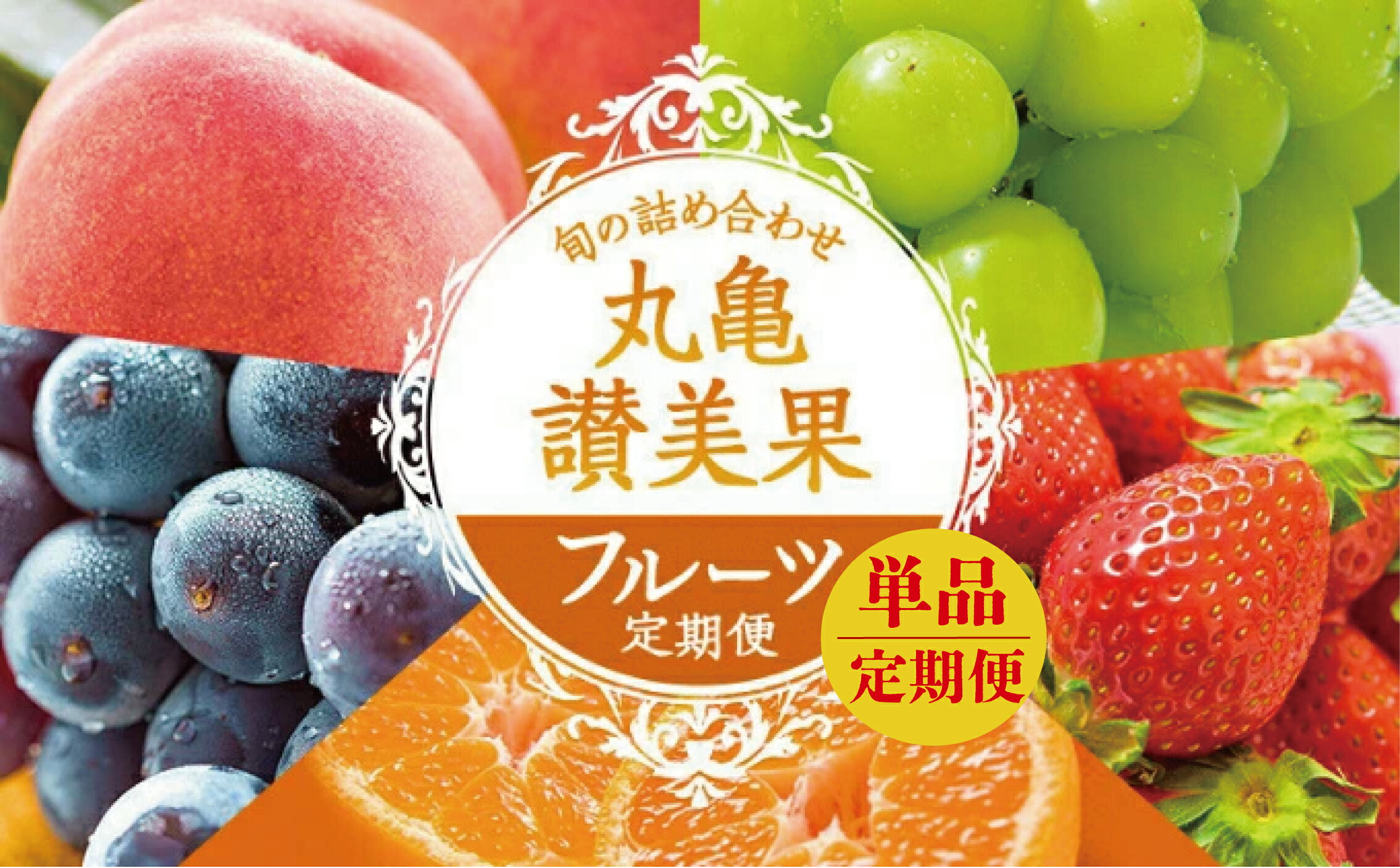 【ふるさと納税】 フルーツ 定期便 単品 定期便 選べる回数 季節のフルーツ 丸亀讃美果 果物 シャインマスカット 桃 もも みかん 蜜柑 柑橘 いちご 苺 ピオーネ ぶどう 葡萄 キウイ 梨 柿 かき せとか デコポン 不知火 はっさく ふるさと納税定期便 ふるさと納税フルーツ サムネイル2