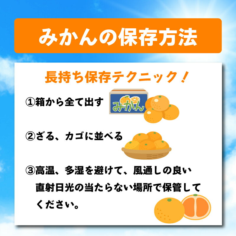 【ふるさと納税】 先行予約 みかん 蜜柑 約2kg 3kg 4.7kg 10kg 小原紅早生 小原紅早生みかん 柑橘 オレンジ 果物 フルーツ 果実 旬 家庭用 11月下旬～12月下旬 配送 選べる 容量 香川県 丸亀市 サムネイル3