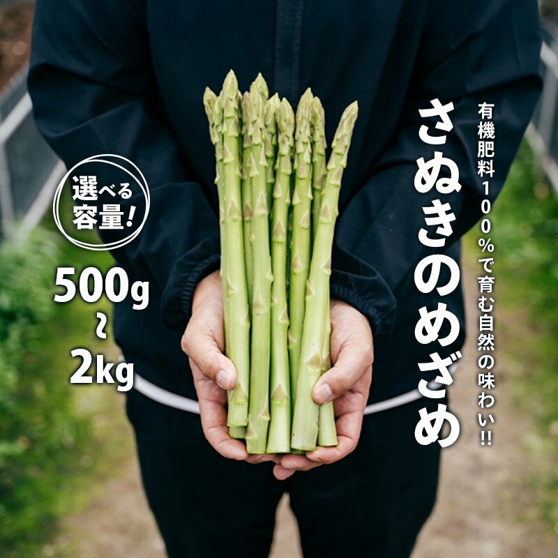【2026年先行予約】 グリーンアスパラガス さぬきのめざめ 500g～2kg 有機肥料 朝採れ 産地直送 人気 新鮮 美味しい 甘い 特産 グルメ 青空レストラン サラダ BBQ アスパラ アスパラガス 高品質 希少 フレッシュ 野菜 旬 丸亀市 香川県 SUKINOKA スキノカ