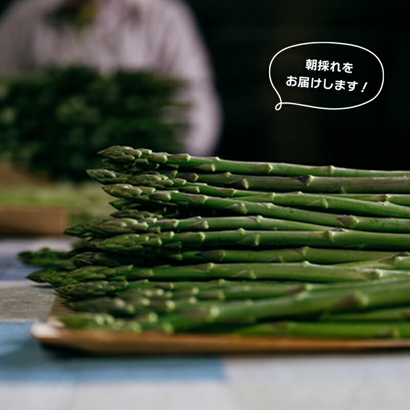 【ふるさと納税】 【2026年先行予約】 グリーンアスパラガス さぬきのめざめ 500g～2kg 有機肥料 朝採れ 産地直送 人気 新鮮 美味しい 甘い 特産 グルメ 青空レストラン サラダ BBQ アスパラ アスパラガス 高品質 希少 フレッシュ 野菜 旬 丸亀市 香川県 SUKINOKA スキノカ - 画像3