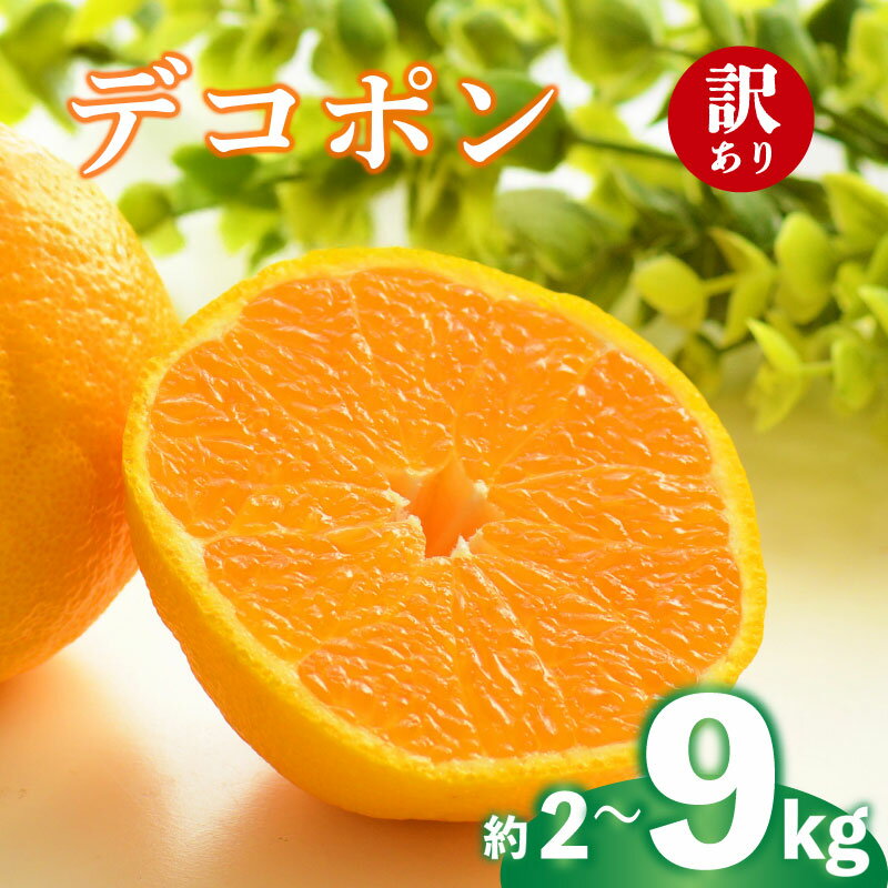 2026年 先行予約 デコポン 約2g 4kg 9kg 訳あり 不知火 しらぬい みかん 柑橘 蜜柑 オレンジ 果物 フルーツ 果実 旬 家庭用 2月中旬～4月中旬 配送 香川県 丸亀市