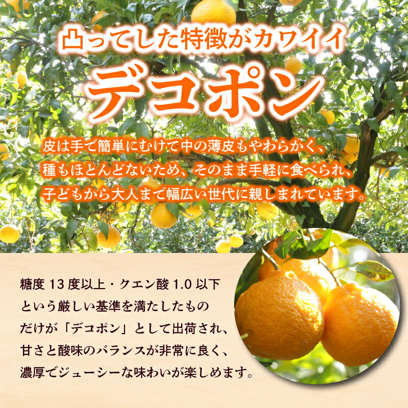 【ふるさと納税】 2026年 先行予約 デコポン 約2g 4kg 9kg 訳あり 不知火 しらぬい みかん 柑橘 蜜柑 オレンジ 果物 フルーツ 果実 旬 家庭用 2月中旬～4月中旬 配送 香川県 丸亀市 サムネイル2