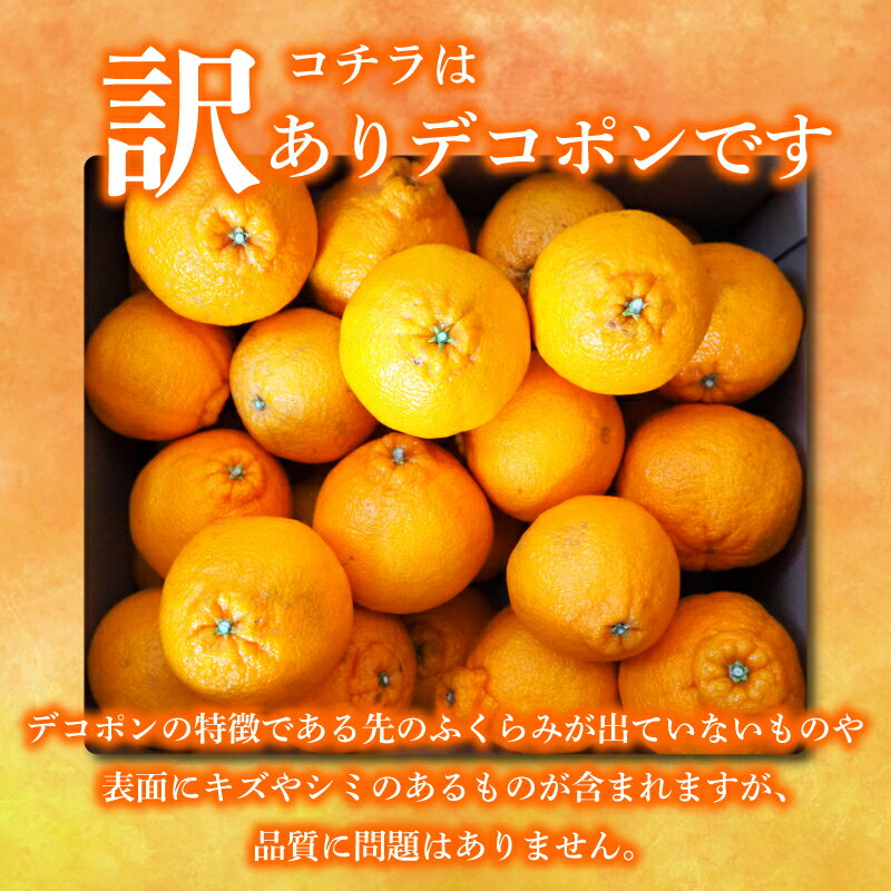 【ふるさと納税】 2026年 先行予約 デコポン 約2g 4kg 9kg 訳あり 不知火 しらぬい みかん 柑橘 蜜柑 オレンジ 果物 フルーツ 果実 旬 家庭用 2月中旬～4月中旬 配送 香川県 丸亀市 サムネイル3