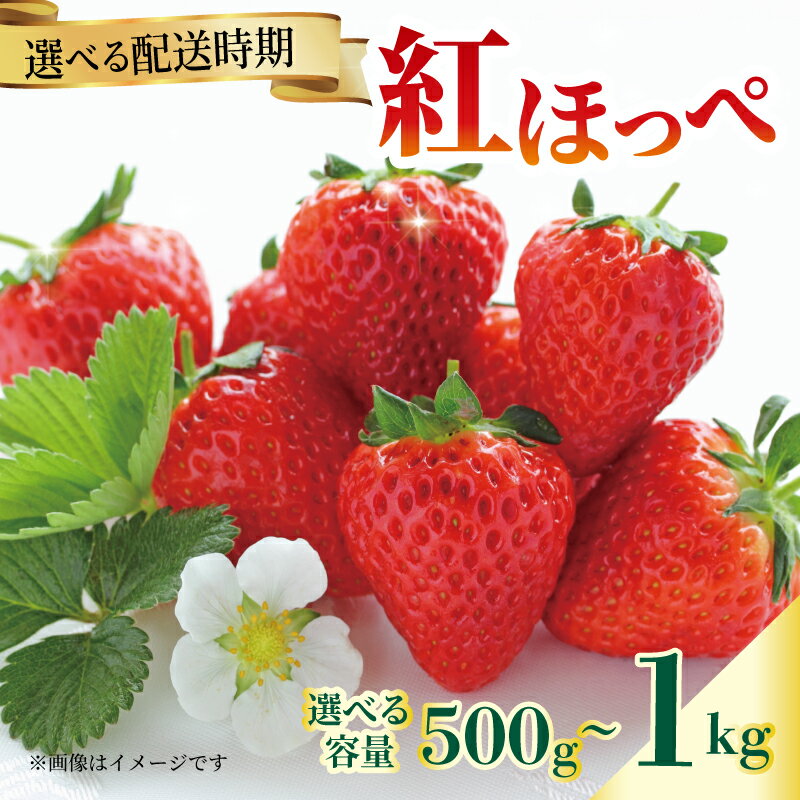いちご 紅ほっぺ 苺 約 500g 1kg 【選べる配送月】 果物 フルーツ くだもの イチゴ ジューシー 果汁 果実 ケーキ ジュース ゼリー アイス ジャム デザート スイーツ ふるさと納税いちご ふるさと納税フルーツ 国産 香川県 丸亀市 発送期間：2月～5月