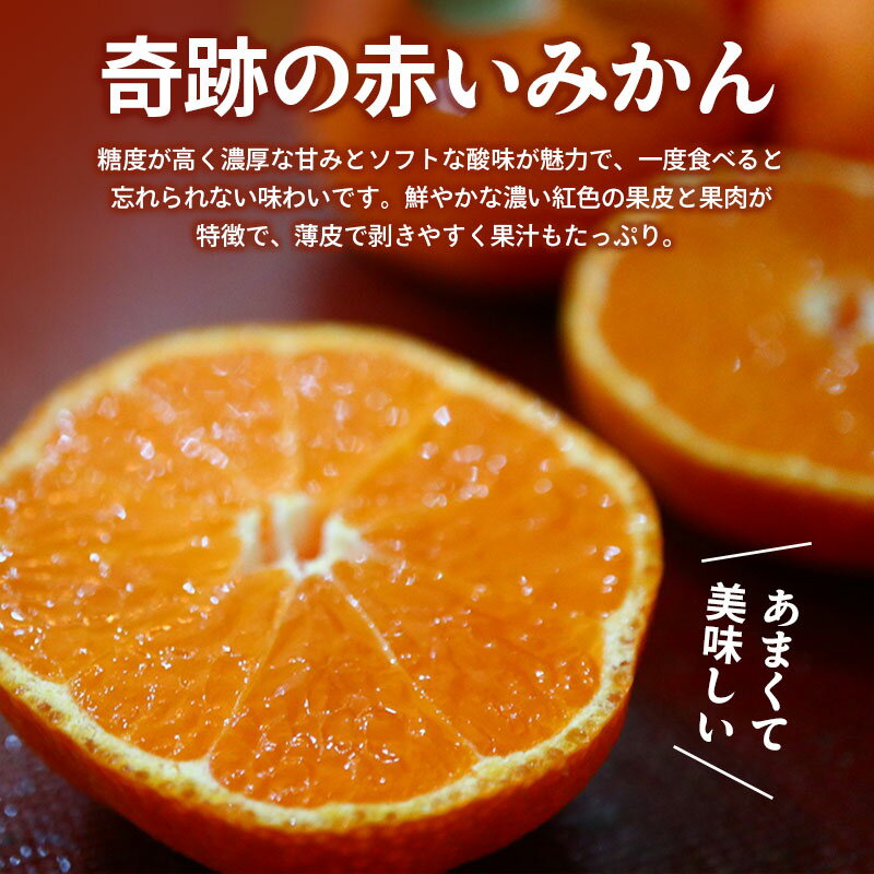 【ふるさと納税】 先行予約 小原紅早生みかん 選べる容量 約1.2kg 約3kg 果物 フルーツ みかん 蜜柑 紅みかん 柑橘 温州みかん デザート スイーツ ケーキ ジュース ゼリー アイス シャーベット ジェラート フルーツ大福 ギフト 家庭用 香川県 丸亀市 マミィギフト サムネイル3