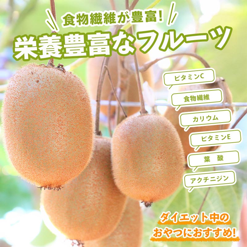 【ふるさと納税】 先行予約 キウイフルーツ 香緑 約750g 約1.2kg 果物 フルーツ キウイ グリーンキウイ デザート スイーツ ケーキ ジュース ゼリー アイス シャーベット ジェラート フルーツ大福 ドライフルーツ ギフト 家庭用 旬の果物 人気 おすすめ 香川県 丸亀市 サムネイル3