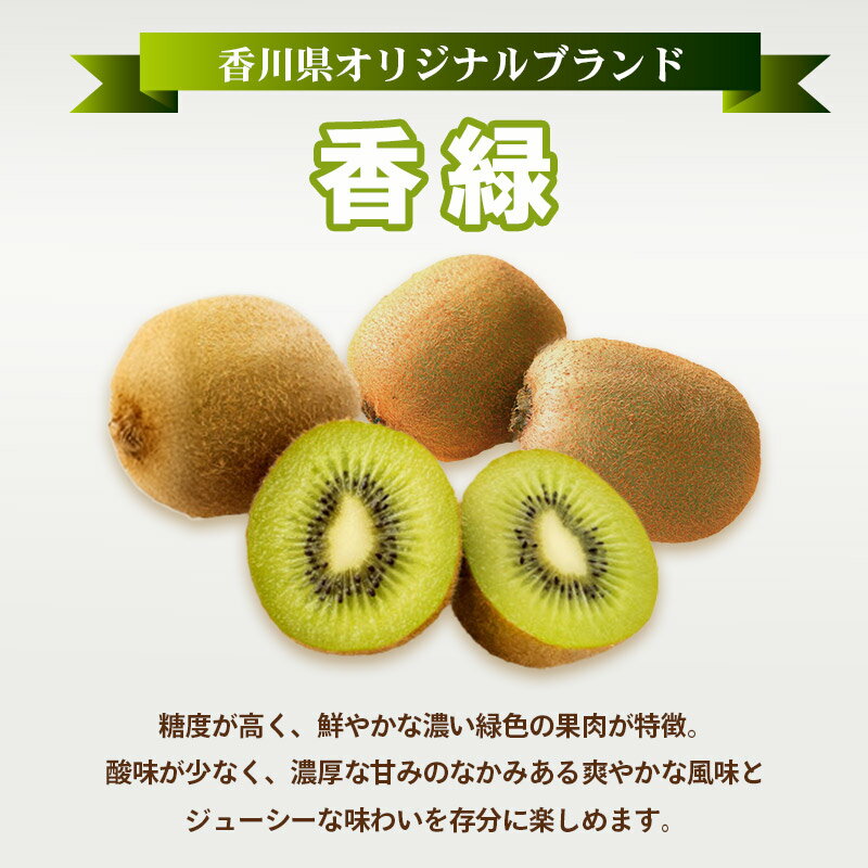 【ふるさと納税】 先行予約 キウイフルーツ 香緑 約750g 約1.2kg 果物 フルーツ キウイ グリーンキウイ デザート スイーツ ケーキ ジュース ゼリー アイス シャーベット ジェラート フルーツ大福 ドライフルーツ ギフト 家庭用 旬の果物 人気 おすすめ 香川県 丸亀市 サムネイル2