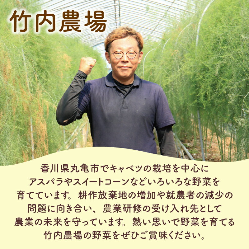 【ふるさと納税】 予約 スイートコーン 約5kg プレミアム味来 ゴールドラッシュ コーン とうもろこし 野菜 やさい 夏野菜 旬 旬の野菜 季節の野菜 産地直送 冷蔵 甘い 料理 おかず 炒め フライ ポタージュ コーンポタージュ 香川県 丸亀市 配送：6月～7月 - 画像3