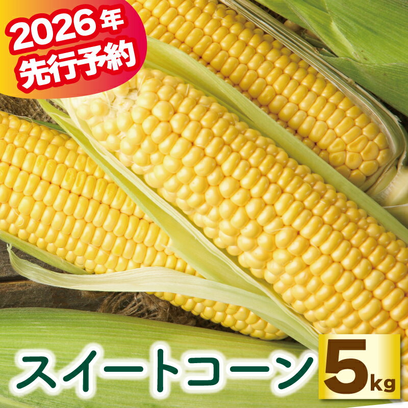 予約 スイートコーン 約5kg プレミアム味来 ゴールドラッシュ コーン とうもろこし 野菜 やさい 夏野菜 旬 旬の野菜 季節の野菜 産地直送 冷蔵 甘い 料理 おかず 炒め フライ ポタージュ コーンポタージュ 香川県 丸亀市 配送：6月～7月