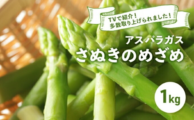 【ふるさと納税】 アスパラガス さぬきのめざめ 春芽 1kg アスパラ グリーンアスパラ 野菜 旬 旬の野菜 季節の野菜 産地直送 香川 香川県 丸亀 丸亀市 冷蔵 冷蔵配送 先行 予約 先行予約 2026 2026年3月以降発送開始　お届け：2026年3月中旬-6月中旬 - 画像2