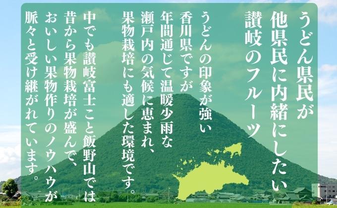 【ふるさと納税】 【先行予約】 小原紅早生みかん 選べる 約1kg~約5kg 常温 先行予約 みかん 早生 果物 フルーツ 香川県 丸亀市 11月から発送 サムネイル2