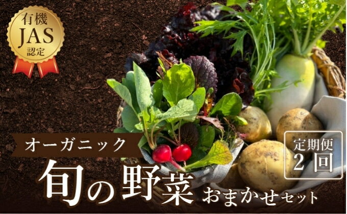 【ふるさと納税】 野菜 定期便 詰め合わせ セット よしむら農園 オーガニック 2回 3回 4回 6回 12回 おまかせ 旬 旬の野菜 ビタミン 栄養 健康 一人暮らし 野菜炒め 旬 有機栽培 JAS 新鮮 トマト 大根 ほうれん草 ベビーリーフ レタス キャベツ じゃがいも 香川県 丸亀市 サムネイル2