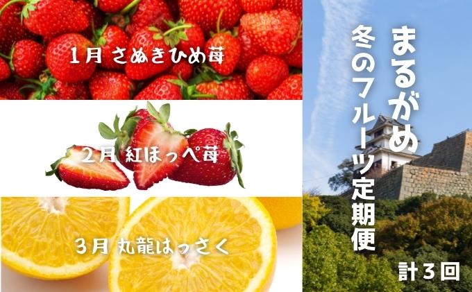 【ふるさと納税】 【冬の定期便3回】丸亀自慢のフルーツ【離島エリア配送不可】 果物類 いちご 苺 イチゴ みかん さぬきひめ 紅ほっぺ苺 はっさく フルーツ 香川県 丸亀市 サムネイル2