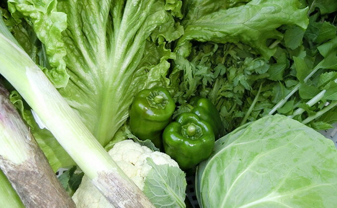 【ふるさと納税】 【定期便3回】野菜 セット 詰め合わせ やさい 旬 季節 キャベツ 玉ねぎ きゅうり なす トマト じゃがいも とうもろこし ブロッコリー アスパラガス 大根 香川県 丸亀市 - 画像3