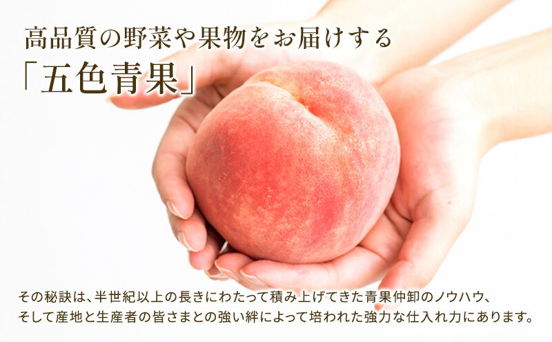 【ふるさと納税】 【先行予約】 小原紅早生みかん 選べる 約1kg~約5kg 常温 先行予約 みかん 早生 果物 フルーツ 香川県 丸亀市 11月から発送 サムネイル3