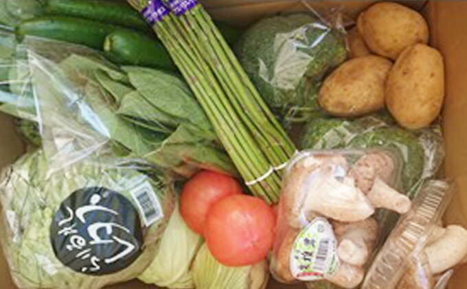 【ふるさと納税】 【定期便6回】野菜 セット 詰め合わせ やさい 旬 季節 キャベツ 玉ねぎ きゅうり なす トマト じゃがいも とうもろこし ブロッコリー アスパラガス 大根 香川県 丸亀市 - 画像3