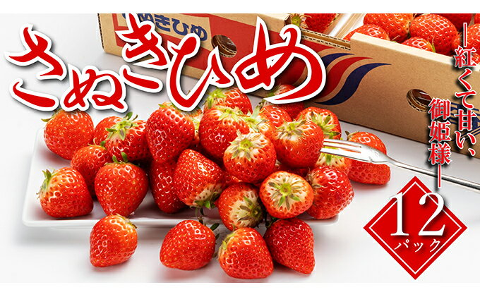 【ふるさと納税】 【お届け：2026年1月中旬-2026年4月下旬】いちご 先行予約 さぬきひめ 12パック 丸亀の紅い宝石 フルーツ 果物 デザート 旬 産地直送 旬の果物 旬のフルーツ お取り寄せ 取り寄せ 冷蔵 冷蔵配送 先行 予約 2026年 1月中旬以降発送開始 サムネイル2