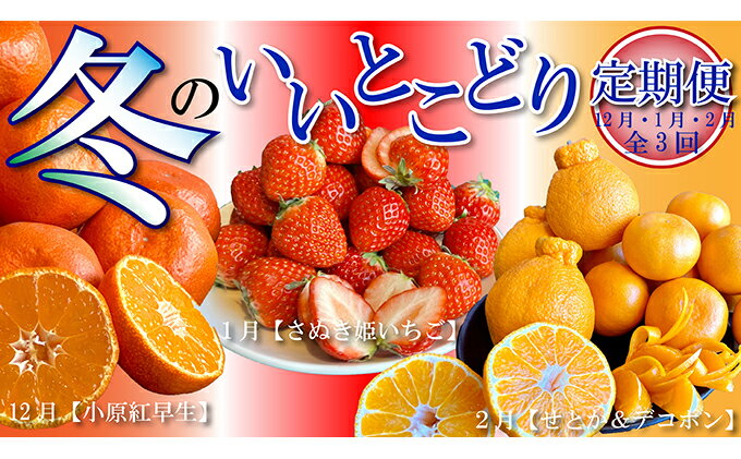 【ふるさと納税】 定期便 3回 冬のフルーツ いいとこどり定期便 みかん 蜜柑 柑橘 苺 いちご せとか デコポン 不知火 果物 詰合せ セット フルーツ ふるさと納税定期便 ふるさと納税フルーツ ふるさと納税 送料無料 ギフト 贈答 家庭用 サムネイル2