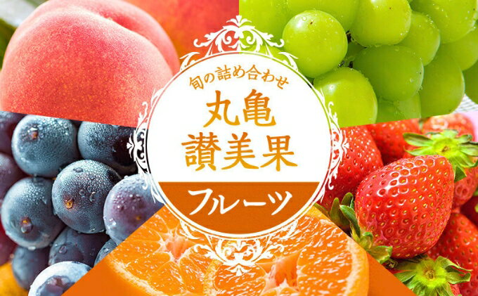 【ふるさと納税】 旬のフルーツ 盛り合わせ 果物 フルーツ 桃 モモ シャインマスカット ぶどう 葡萄 いちご 苺 ピオーネ みかん 蜜柑 柑橘 不知火 デコポン せとか キウイ 梨 ナシ びわ はっさく ふるさと納税フルーツ ふるさと納税果物 ギフト 贈答 送料無料 ふるさと納税 サムネイル2