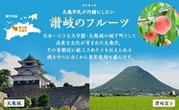 【ふるさと納税】 フルーツ 定期便 選べる回数 旬に出逢う城下町の果実 果物 フルーツ いちご 苺 さぬきひめ 桃 もも シャインマスカット みかん 蜜柑 小原紅早生 ぶどう 葡萄 果実 詰合せ 旬のフルーツ 人気 おすすめ ギフト 贈答 お取り寄せ ふるさと納税フルーツ 丸亀市 サムネイル3