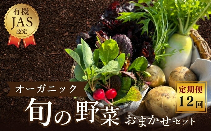 【ふるさと納税】 野菜 詰め合わせ 定期便12回／よしむら農園 オーガニック おまかせ野菜セット 定期配送 安全 旬の野菜 オーガニック野菜 有機JAS認証農園 - 画像2