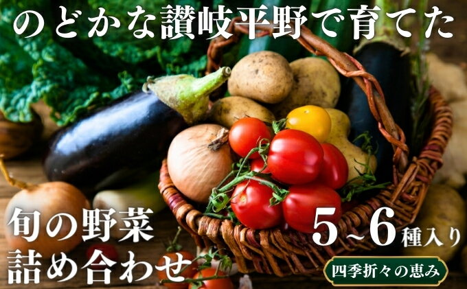 【ふるさと納税】 のどかな讃岐平野で育てた 旬の野菜 詰め合わせセット 今が旬 健康 野菜ボックス ヘルシー食材 トマト サツマイモ 新鮮 とれたて 季節 自家栽培 珍しい 美味しい たっぷり - 画像2