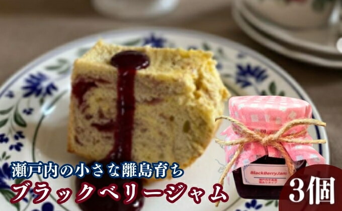 【ふるさと納税】 ジャム ブラックベリージャム 3個 セット 瀬戸内海 ブラックベリー フルーツ 果物 ベリー ギフト プレゼント 贈答 スイーツ デザート おやつ お菓子 菓子 パン ケーキ アイス ヨーグルト 無添加 常温 加工品 常温配送 香川県 香川 丸亀 丸亀市 サムネイル2