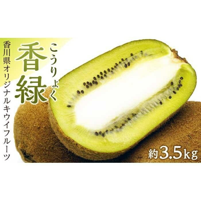 香緑（こうりょく）キウイフルーツ 約3.5kg | 香川県 坂出市 香川 四国 楽天ふるさと 納税 返礼品 支援 お取り寄せグルメ 取り寄せ グルメ 食品 フルーツ 果物 くだもの キウイ キウイフルーツ キュウイ 特産品 自宅用 家庭用 果実 お取り寄せ おいしい