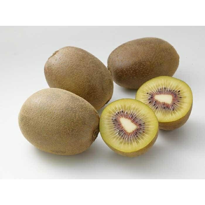 さぬきエンジェルスイートキウイ 約2.1kg | 香川県 坂出市 香川 四国 返礼品 お取り寄せグルメ 取り寄せ グルメ 食品 フルーツ 果物 くだもの キウイ キウイフルーツ キュウイ 特産品 自宅用 家庭用 果実 お取り寄せ おいしい