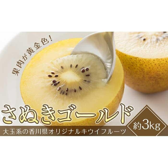 さぬきゴールドキウイ　約3kg（20～24玉入り） | 香川県 坂出市 香川 四国 楽天ふるさと 納税 返礼品 支援 お取り寄せグルメ 取り寄せ グルメ 食品 フルーツ 果物 くだもの キウイ キウイフルーツ キュウイ ゴールドキウイ 特産品
