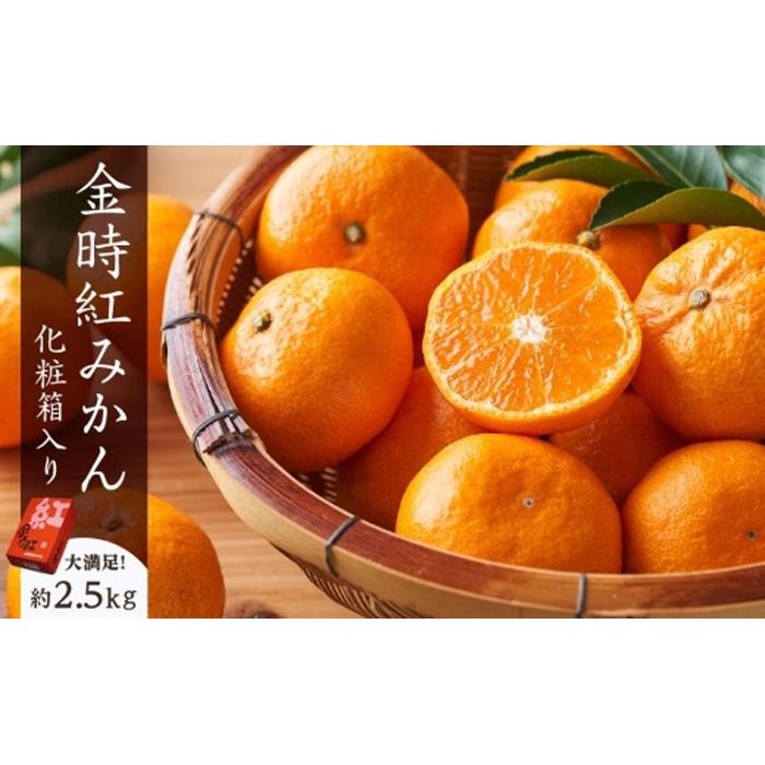 坂出市産 金時紅みかん 約2.5kg（21～30玉入り） 化粧箱入り | 香川県 坂出市 香川 四国 楽天ふるさと 納税 返礼品 支援 お取り寄せグルメ 取り寄せ グルメ 食品 フルーツ 果物 くだもの みかん ミカン かんきつ類 かんきつ ご自宅用 家庭用 お取り寄せ