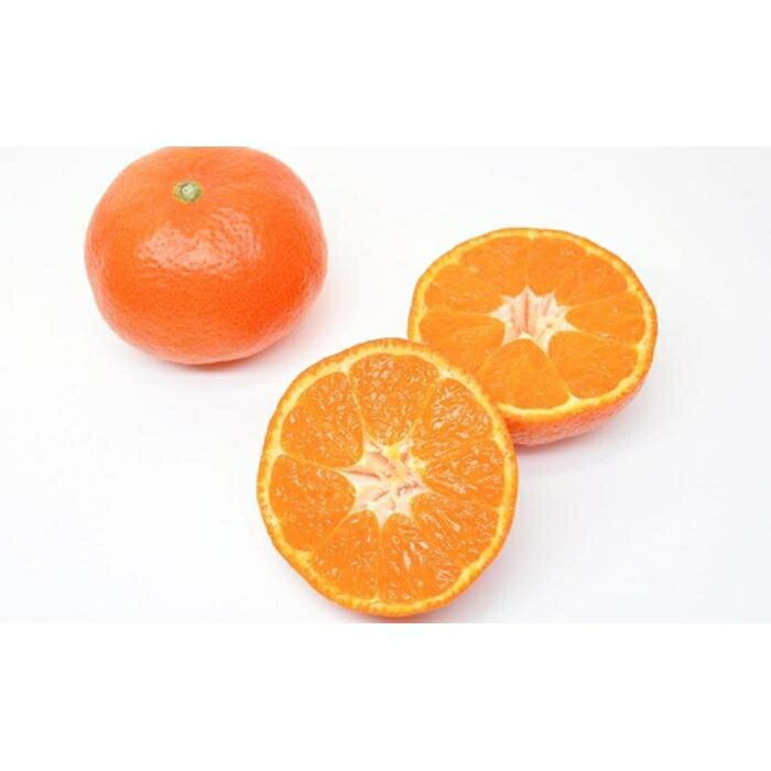 【ふるさと納税】坂出市産 金時紅みかん 約2.5kg（21～30玉入り） 化粧箱入り | 香川県 坂出市 香川 四国 楽天ふるさと 納税 返礼品 支援 お取り寄せグルメ 取り寄せ グルメ 食品 フルーツ 果物 くだもの みかん ミカン かんきつ類 かんきつ ご自宅用 家庭用 お取り寄せ サムネイル2