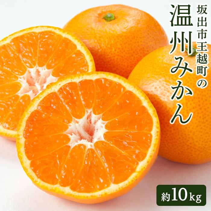 坂出市王越町の温州みかん 10kg（約5kg×2箱） | 香川県 坂出市 香川 四国 楽天ふるさと 納税 返礼品 支援 お取り寄せグルメ 取り寄せ グルメ 食品 フルーツ 果物 くだもの みかん ミカン 蜜柑 柑橘 柑橘類 かんきつ類