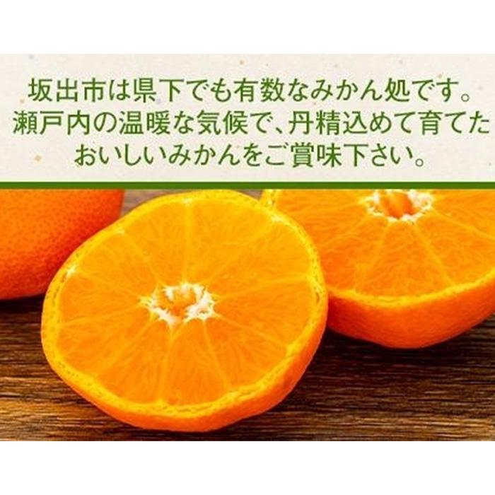 【ふるさと納税】坂出市産「さぬきのみかん」 約5.6kg（約2.8kg×2箱） | 香川県 坂出市 香川 四国 楽天ふるさと 納税 返礼品 支援 お取り寄せグルメ 取り寄せ グルメ 食品 フルーツ 果物 くだもの みかん ミカン 蜜柑 柑橘 柑橘類 かんきつ類 サムネイル2