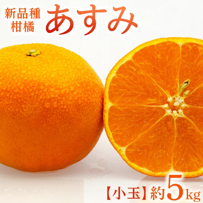 新品種柑橘「あすみ」小玉 約5kg | 香川県 坂出市 香川 四国 楽天ふるさと 納税 返礼品 支援 お取り寄せグルメ 取り寄せ グルメ 食品 フルーツ 果物 くだもの 柑橘 柑橘類 かんきつ類 かんきつ ご自宅用 家庭用 お取り寄せ 特産品 ご当地 おいしい 美味しい