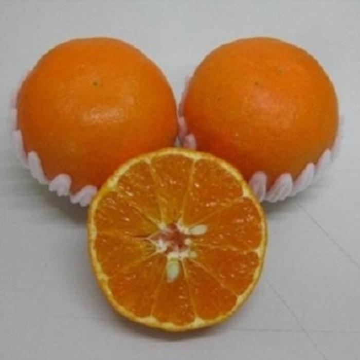 【ふるさと納税】新品種柑橘「あすみ」小玉 約5kg | 香川県 坂出市 香川 四国 楽天ふるさと 納税 返礼品 支援 お取り寄せグルメ 取り寄せ グルメ 食品 フルーツ 果物 くだもの 柑橘 柑橘類 かんきつ類 かんきつ ご自宅用 家庭用 お取り寄せ 特産品 ご当地 おいしい 美味しい サムネイル2