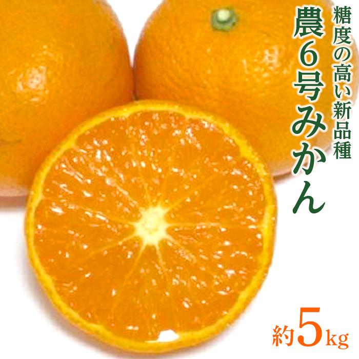 農6号みかん（のうろく）約5kg | 坂出市 香川 四国 納税 返礼品 支援 お取り寄せグルメ 取り寄せ グルメ 食品 フルーツ 果物 くだもの みかん ミカン 蜜柑 柑橘 かんきつ ご自宅用 家庭用 おいしい