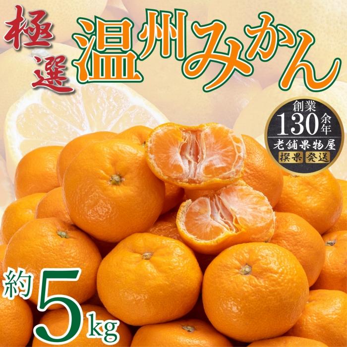 極撰！温州みかん　約5kg |みかん フルーツ 旬 美味しい みかん 新鮮 フルーツ みかん 詰合せ セット フルーツ 人気 フルーツ 厳選 おすすめ フルーツ