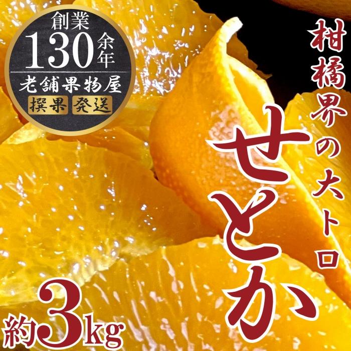 柑橘界の大トロ！せとか約3kg