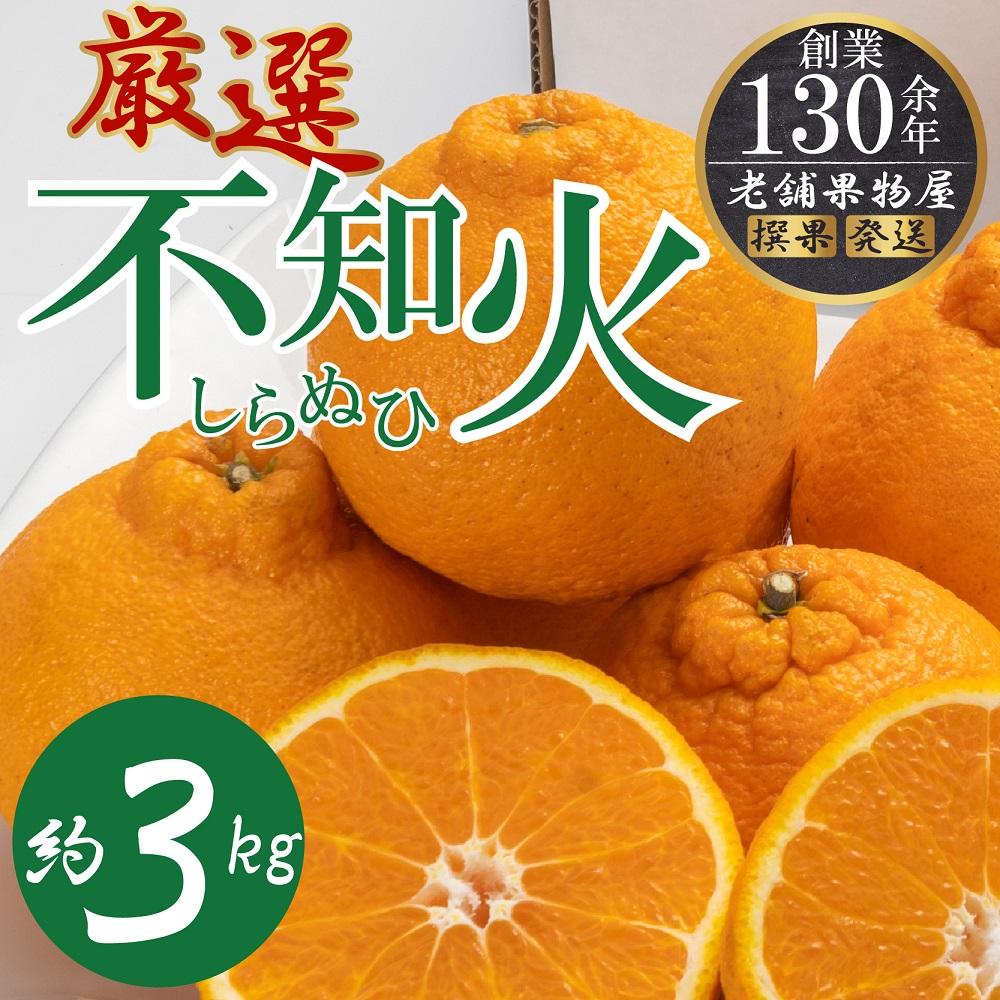 濃厚ぷりっぷりっ♪厳選「不知火(しらぬひ)」約3kg