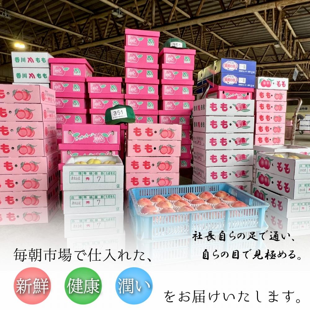 【ふるさと納税】さぬき姫いちご　12パック（1パック約250g） サムネイル2