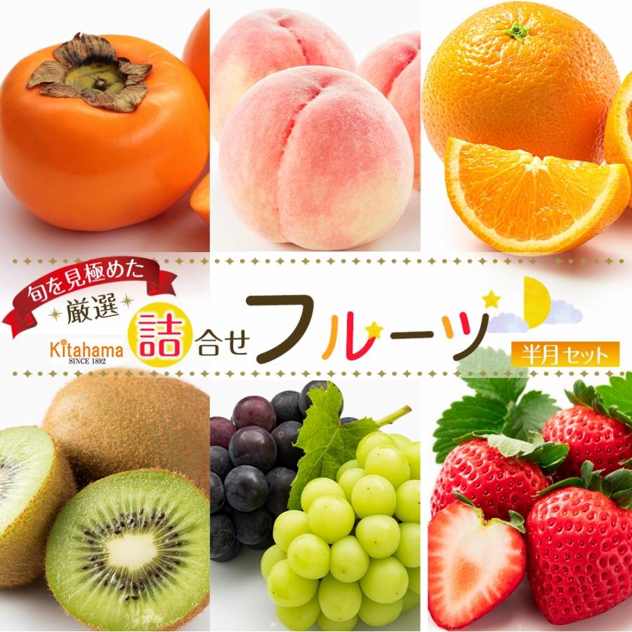 旬を見極めた厳選フルーツ詰め合わせ【半月セット】（3～5品種）1回便