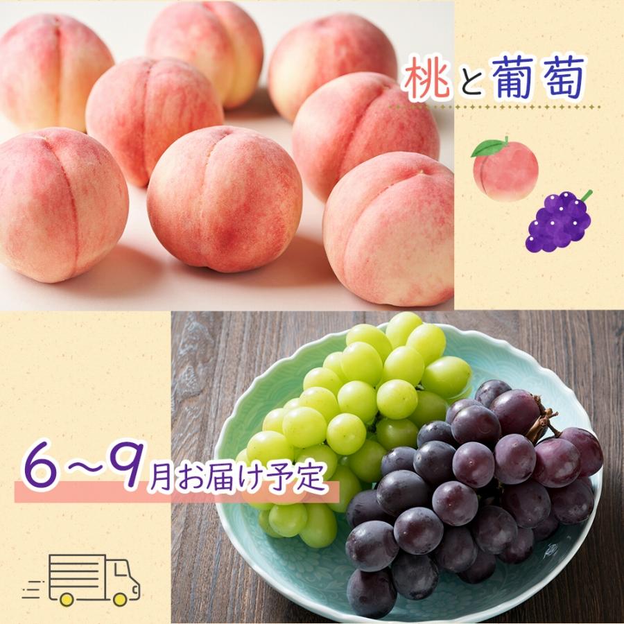 【ふるさと納税】旬を見極めた厳選フルーツ詰め合わせ【半月セット】（3～5品種）1回便 サムネイル3