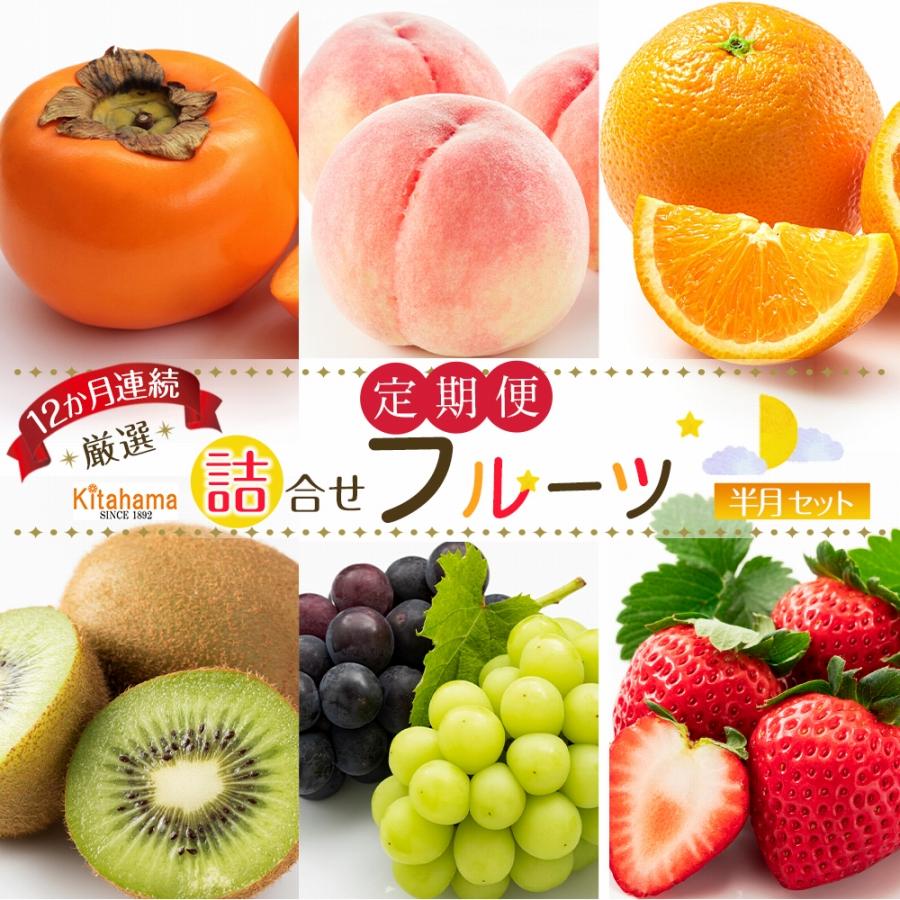旬を見極めた厳選フルーツ詰め合わせ （半月セット） 定期便12か月連続コース！