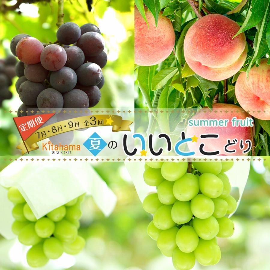 夏のいいとこどり定期便 【7月・8月・9月】全3回