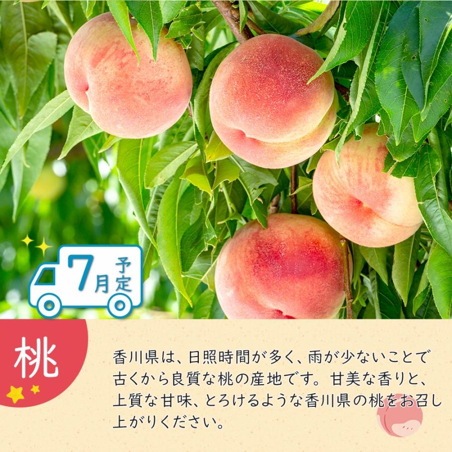 【ふるさと納税】夏のいいとこどり定期便 【7月・8月・9月】全3回 サムネイル2