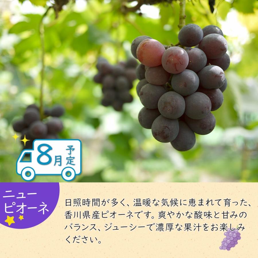 【ふるさと納税】夏のいいとこどり定期便 【7月・8月・9月】全3回 サムネイル3