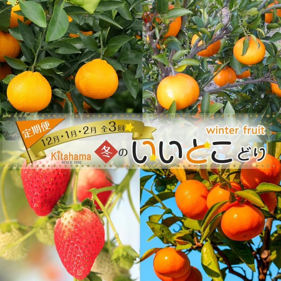 冬のいいとこどり定期便 【12月・1月・2月】全3回